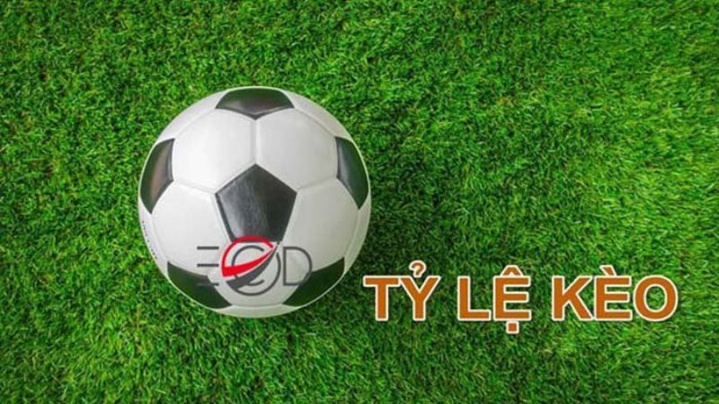 Kèo nhà cái mang đến đa dạng chuyên mục