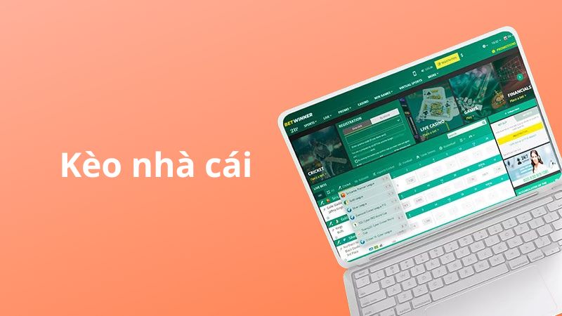 Tỷ Lệ Kèo Nhà Cái 5 - Phân Tích Chuyên Sâu Bí Mật Soi Kèo